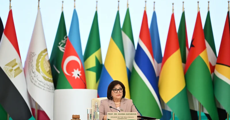 Sahibə Qafarova: İslam dünyası ortaq çağırışlara qarşı birgə fəaliyyət göstərməlidir