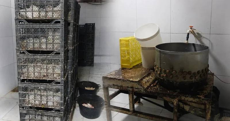 Toyuqları belə şəraitdə kəsib satışa çıxarırmışlar (Foto)