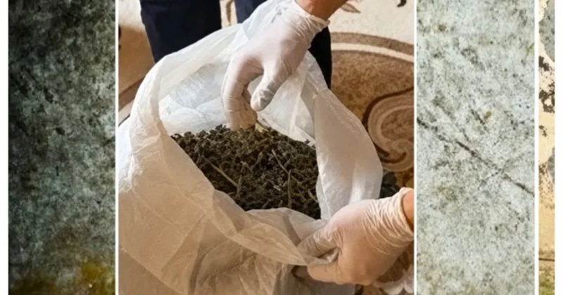 В Агджабеди правоохранители обнаружили более 7 кг марихуаны и кусты конопли