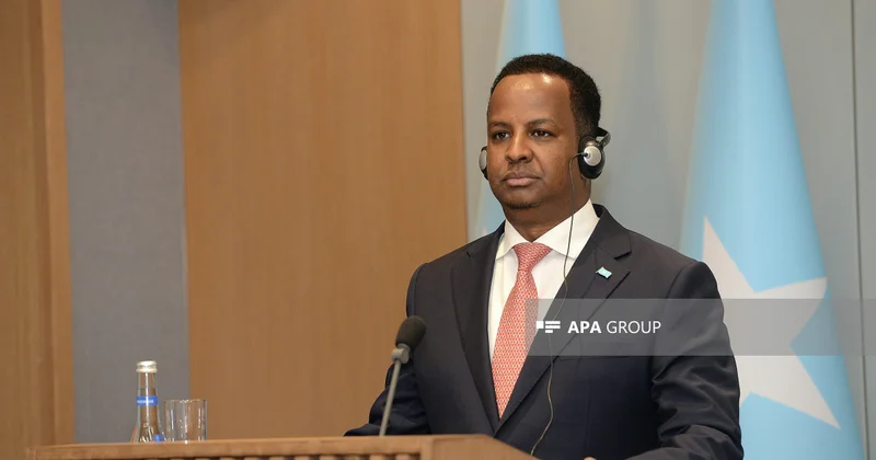 Somali XİN rəhbəri: Azərbaycanla müdafiə sahəsində geniş əməkdaşlığımız mövcuddur