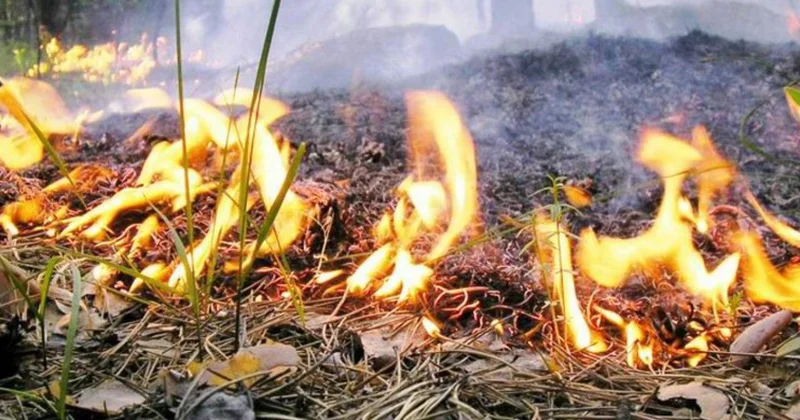 Füzulidəki yanğının tam söndürülməsi istiqamətində əməliyyat davam edir