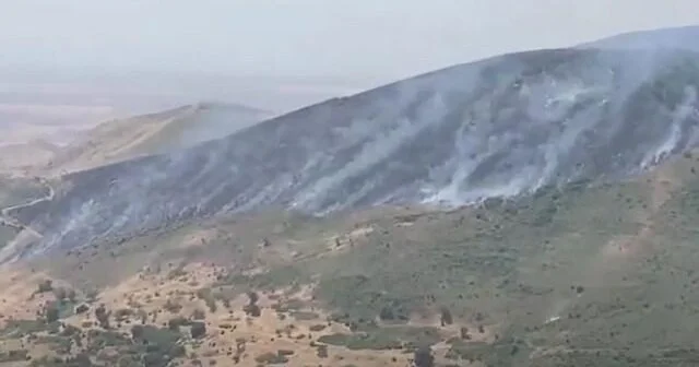 Hadrut qəsəbəsi istiqamətində yanğın davam edir FOTO