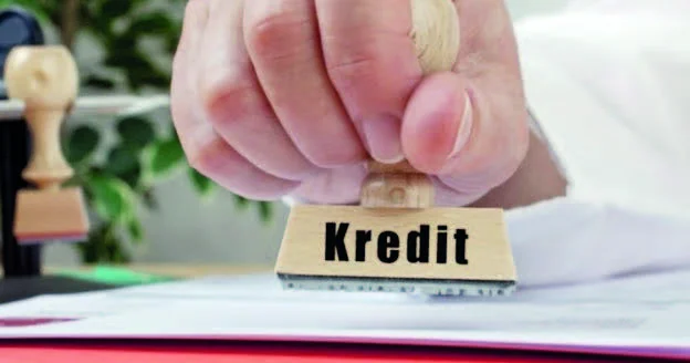 Sahibkarlara güzəştli kredit verilib