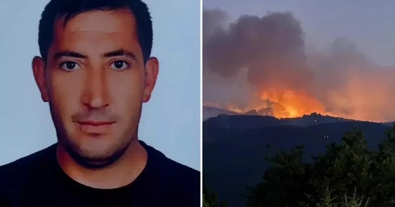 Faciəvi şəkildə ölən meşə işçisinin “Maaş” mesajı ürək parçaladı FOTO