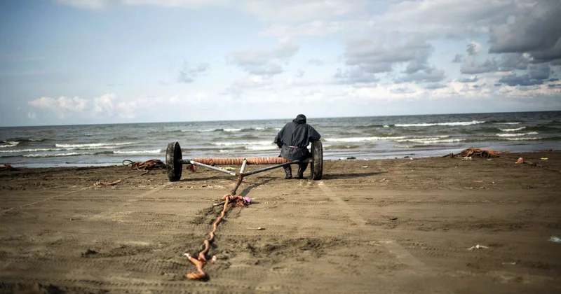 Xəzərdə suyun səviyyəsi rekord həddə düşüb: balıqlar və suitilər təhlükədə