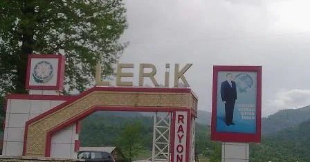 Lerikdə yanğın törədənlər saxlanılıb