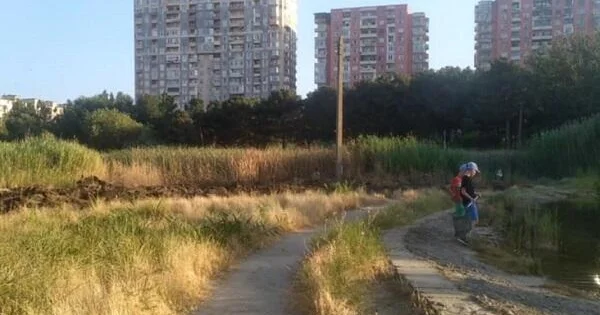 Bakıda bu ərazi baxımsız qalıb Meriya söz verdi