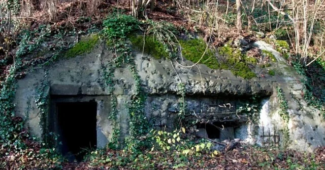 İsveçrə köhnə bunkerləri istifadəyə qaytarır