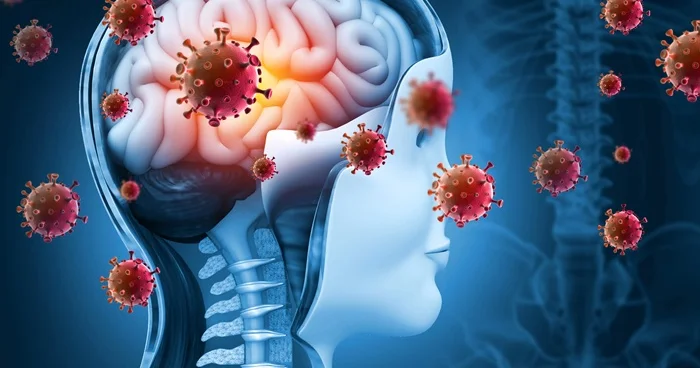 Koronavirus pandemiyası insan beynini qocaldıb Araşdırma
