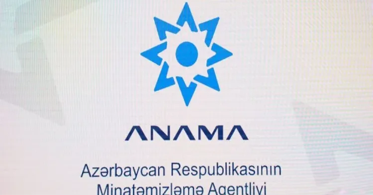ANAMA yanğınlarla bağlı çağırış etdi