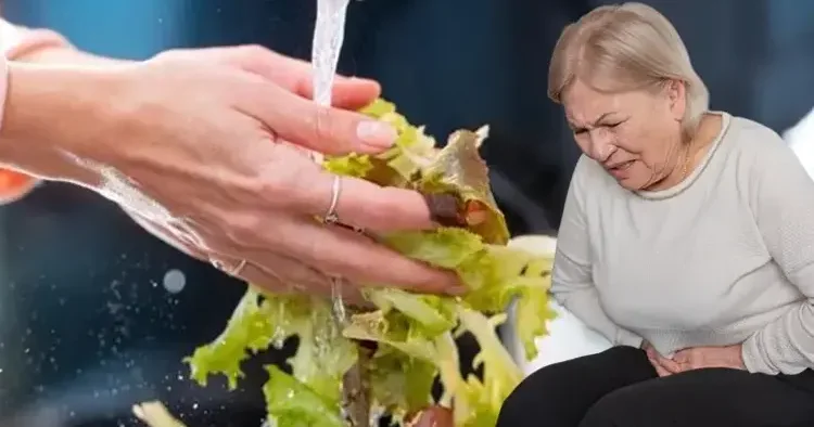 Siklospora paraziti xəbərdarlığı: Yoluxma sayı artır