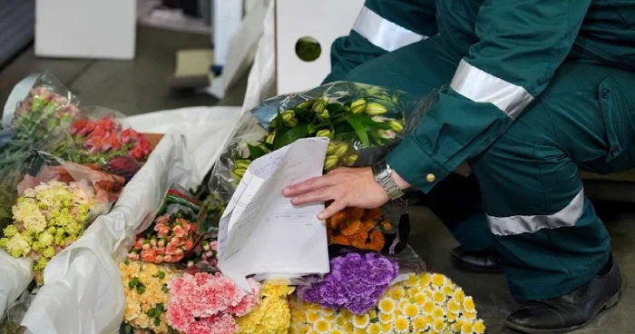 Ermənistanın gül qaçamalçılığı Rusiya araşdırmaya başladı