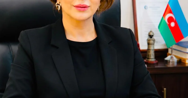 Azərbaycanda Almaniya şirkətlərinin fəaliyyəti: qarşılıqlı sərmayələr və yeni biznes şurasının yaradılması ŞƏRH