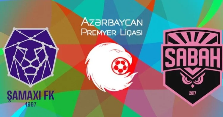 Şirlər bayquşlar qarşı