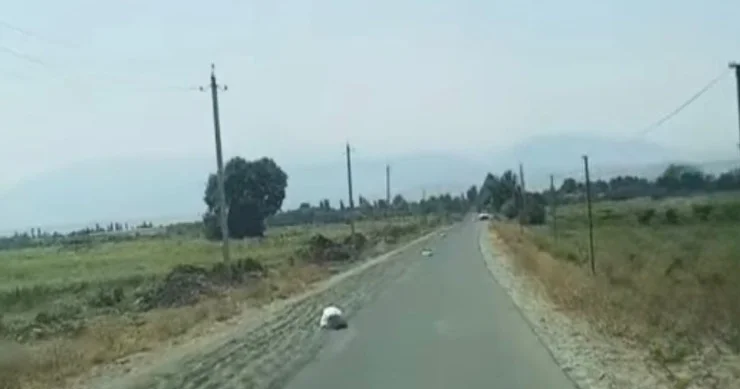 Yola günabaxan tumları yığan məsuliyyətə cəlb edildi FOTO