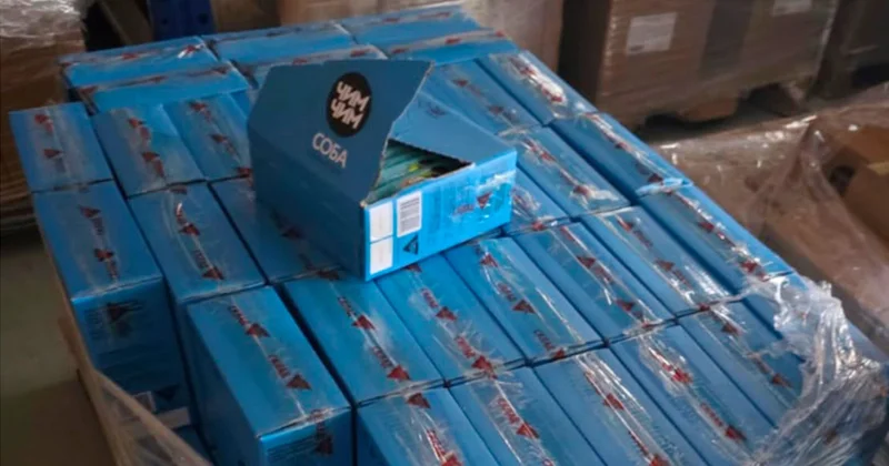 Çin mənşəli 4 qida məhsulunda uyğunsuzluq aşkarlandı Fotolar