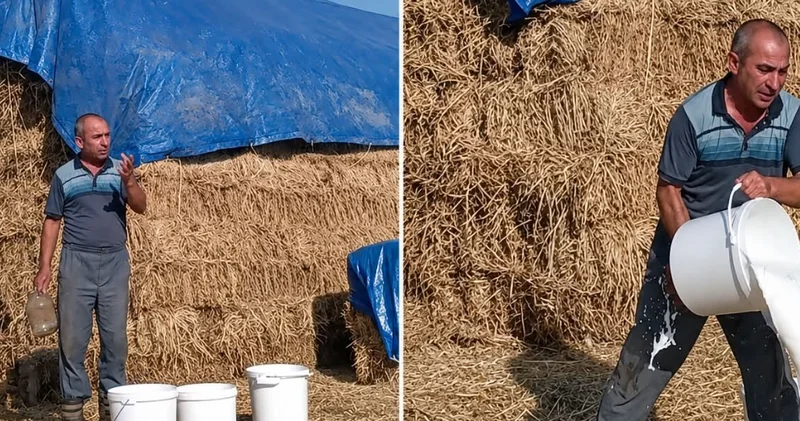 Yerli fermerdən 15 qəpiyə, xaricdən 2 dollara... Süd istehsalçısı nə etməlidir?
