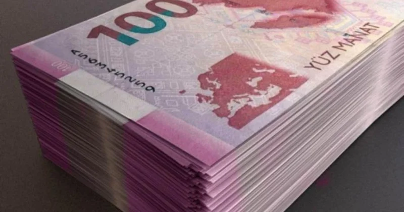 110,7 min pensiya, müavinət və təqaüd proaktiv qaydada təyin olunub