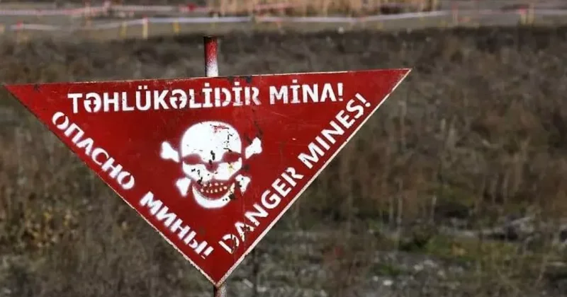 ANAMA: От мин очищено более 1800 гектаров