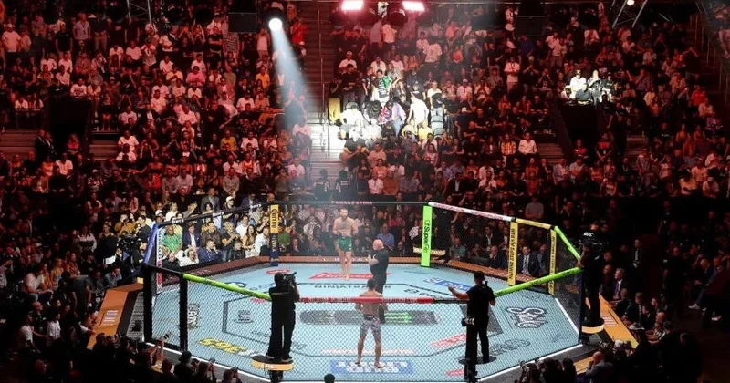 UFC назвал места проведения двух последних номерных турниров года