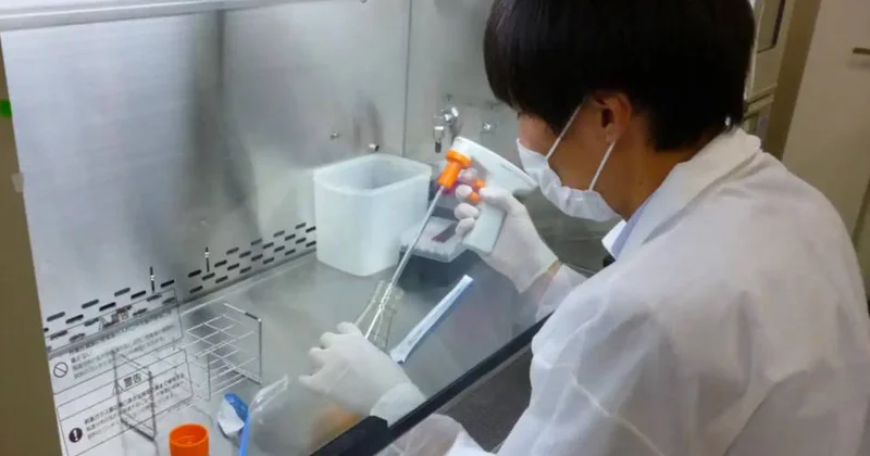 Yaponiyada qida borusu xərçənginə qarşı dünyanın ilk virus əsaslı preparatının satışına başlanılıb