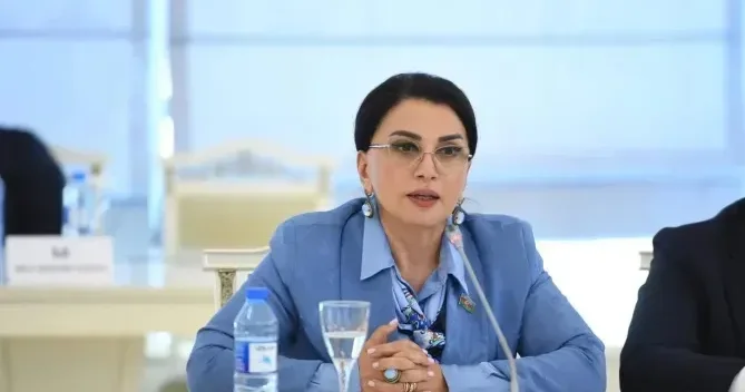 İki ölkə rəsmiləri niyə bir birini tərcüməçisiz anlayır? Deputat AÇIQLADI