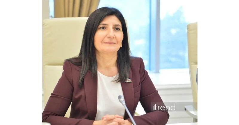Azərbaycan Özbəkistan münasibətləri daha böyük regional prosesin bir hissəsidir Sevil Mikayılova