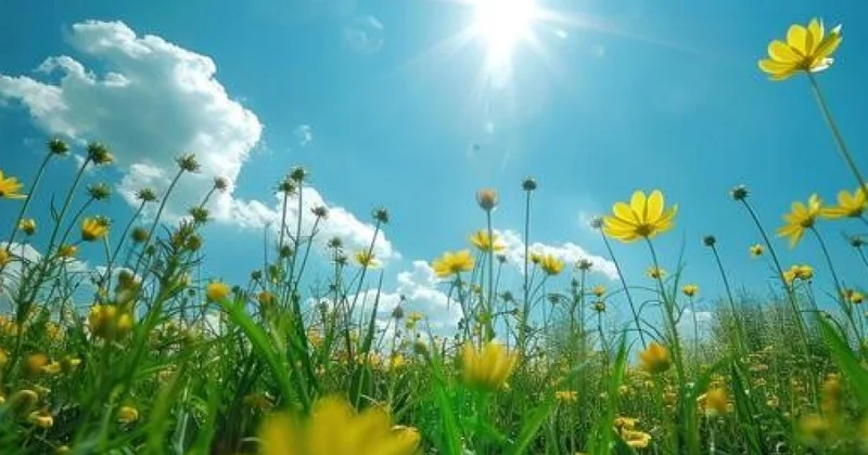 Sabah bəzi yerlərdə havanın temperaturu 41° dək artacaq
