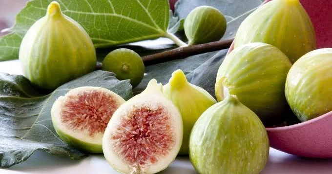 Əncirin elmi sübut olunmuş 3 əsas faydası