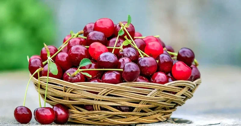 Yuxusuzluğa qarşı ən yaxşı içki:
