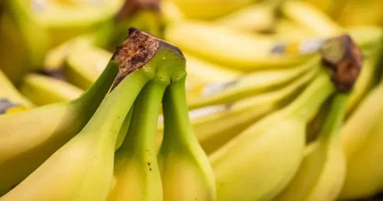 Bu xəstəliyi olanlar banan YEMƏSİNLƏR