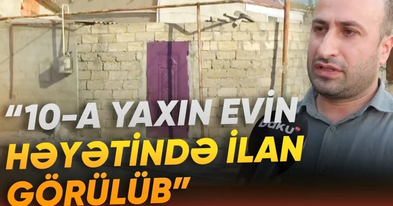 Həyətlərini qurbağalardan sonra ilanlar basan sakinlər təşvişdə VİDEO
