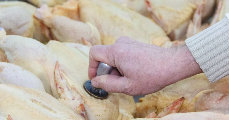 В Азербайджане мясо и птица будут продаваться только с ветеринарным клеймом Minval Politika