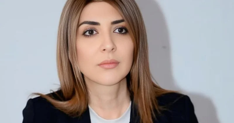 Azərbaycanın qlobal siyasi xəritədə mövqeləri hər ötən gün möhkəmlənir ŞƏRH