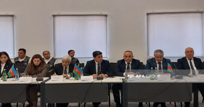 Laçın işğaldan azad edildikdən sonra yeni 3 faydalı qazıntı yatağı balansa götürülüb