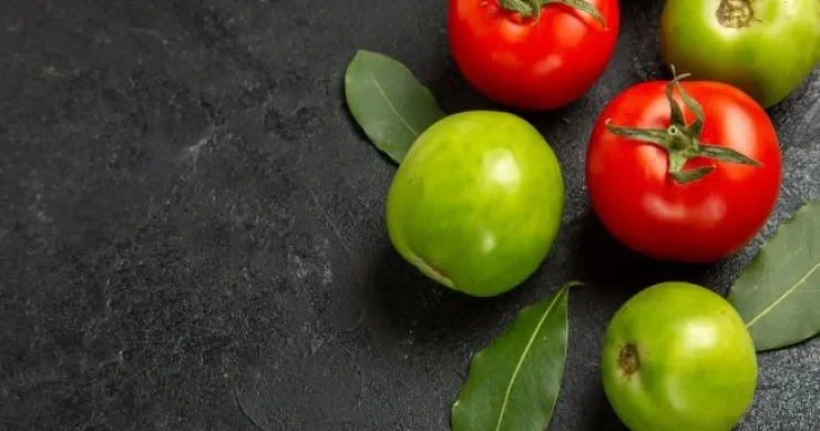 Bir neçə günə yaşıl pomidorları qırmızıya çevirəcək HİYLƏ