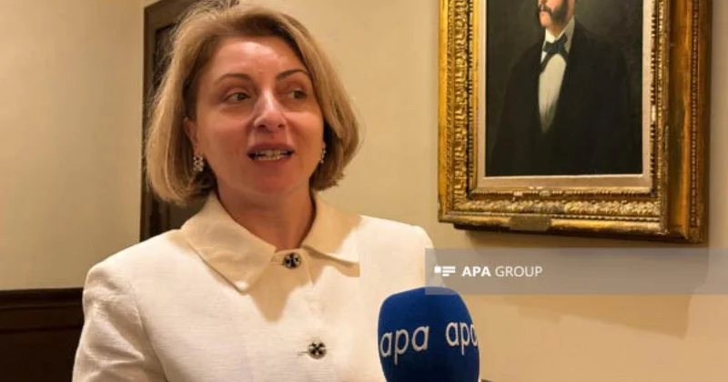 Eka Tkeşelaşvili: Prezident İlham Əliyevin liderliyi bütün dünyada yüksək qiymətləndirilir