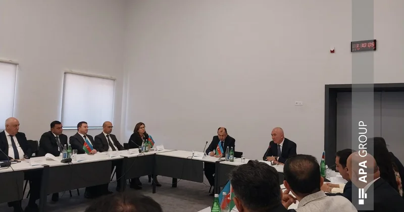 Nazir müavini: Zəngilan, Cəbrayıl, Ağdam və Füzuli rayonlarında 132 hektar yeni yaşıllıq sahəsi salınıb