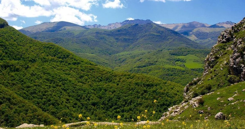 Laçın və Qubadlıda 2 ci yeni milli park yaradılacaq
