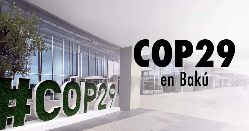 Йылдырым назвал COP29 ярким примером глобального единства Minval Politika