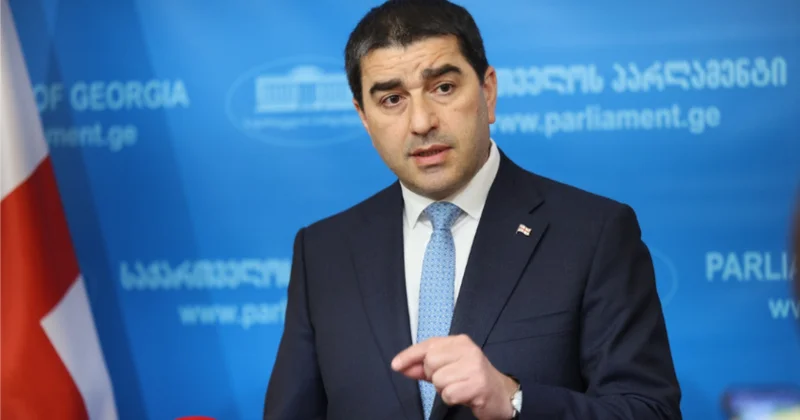 Papuaşvili: Gürcüstan keç kimin oyuncağı deyil