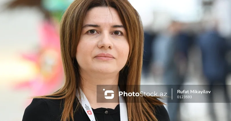 Agentlik direktoru: Avrasiya universitetləri sammiti çərçivəsində bir çox təhsil müəssisələri ilə əlaqələr rəsmiləşdiriləcək