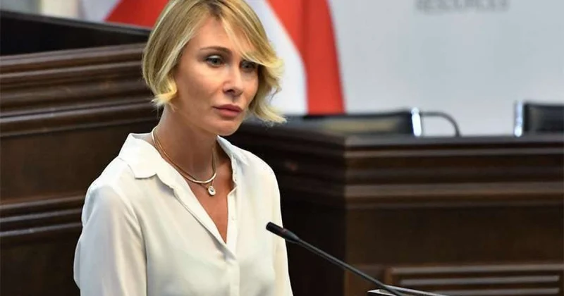 Gürcü vitse spiker: Azərbaycanla tərəfdaşlıq münasibətləri daha da gücləndirilməlidir