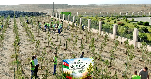 “AzərEnerji” vaxtilə təmas xətti olan ərazilərdə 3000 ə yaxın ağac əkdi Fotolar