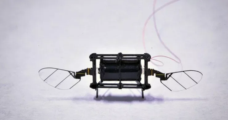 MIT in balaca uçan robotu süni intellektlə 4,5 dəfə sürətləndi