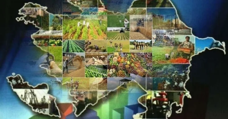 Famil Rüstəmov: Regionlarda məşğulluğun genişlənməsi aqrar iqtisadiyyatın dayanıqlığını artırır