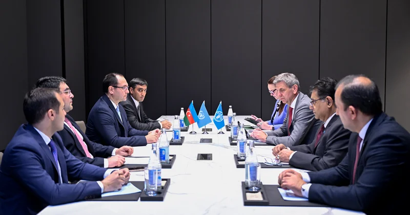 Məcnun Məmmədov FAO nun Avropa və Mərkəzi Asiya üzrə regional nümayəndəsi Viorel Gutu ilə görüşüb