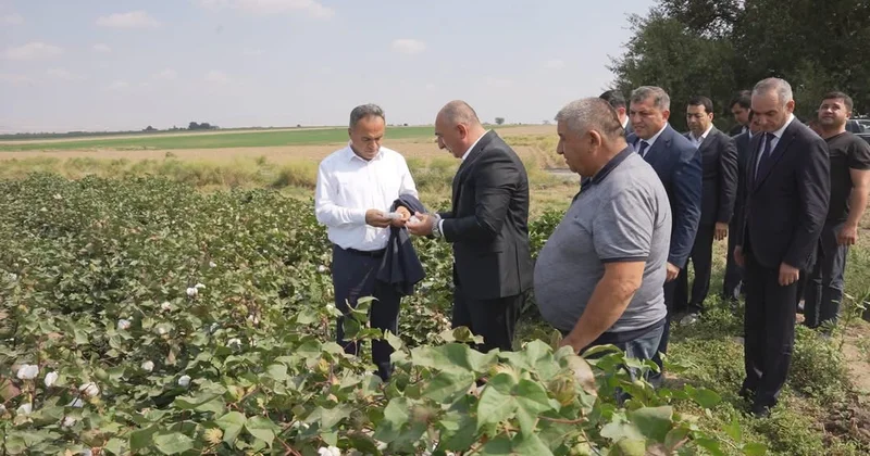 Goranboyda Dövlət Proqramının icrası diqqət mərkəzindədir