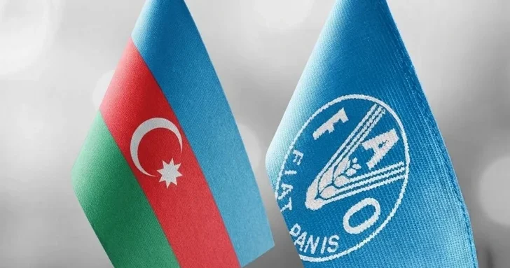 FAO и Азербайджан готовят новое соглашение о партнерстве
