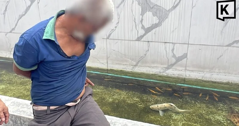 Balıqla cinsi əlaqəyə girdi 51 yaşlı kişi tutuldu